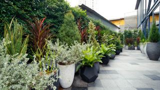 klub-hotel-sha-plus-plus-