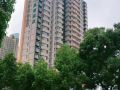 motel-shanghai-lujiazui-yushan-road-yuanshen-sports-center
