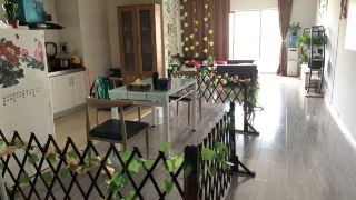 kunming-chuntian-huahua-youth-hostel