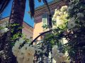 hotel-villa-rose