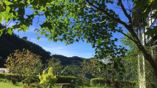 dang-guei-homestay