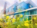dalian-light-blue-hotel