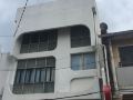 elephant-house-themed-hotel-pinang