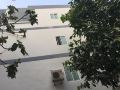 green-house-homestay