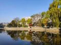 queensir-international-hotel