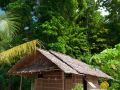 raja-ampat-diva-homestay