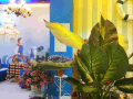 mbala-hotel