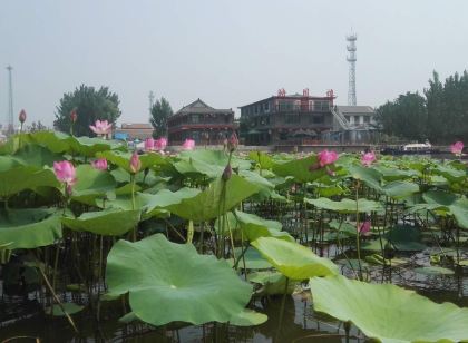 微山映月樓飯店