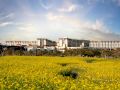 landing-jeju-shinhwa-world-hotels-and-resorts