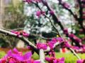 lanzhou-january-international-youth-hostel