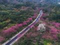 shuimo-rongzhuang-private-garden-hotel