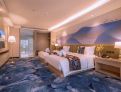 room overview picture