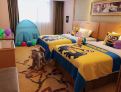 room overview picture