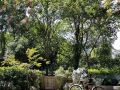 west-lake-lingyin-xiangzhang-yunshe-homestay