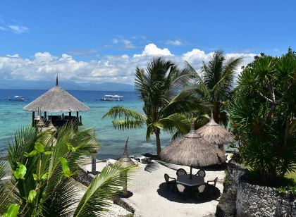 Dolphin House Resort Moalboal