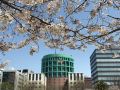 the-basics-fukuoka