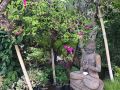 melati-bali-homestay