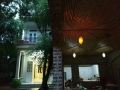 tam-coc-green-fields-homestay