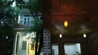 tam-coc-green-fields-homestay