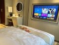 room overview picture