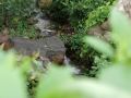 rizhao-small-tea-mountain-homestay