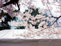 tora-hotel-ueno