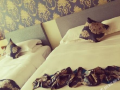 hua-an-international-seoul-hotel-yantai-kunlunshan-road