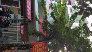 baobab-homestay