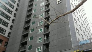 dunsan-graytone-hotel