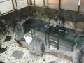 ryokan-baikunro