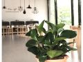 ouye-boutique-hotel