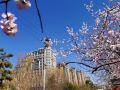 lijingwan-international-hotel