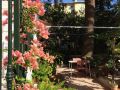 hotel-villa-rose