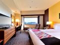 room overview picture