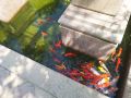 qidong-sea-venice-water-charm-villa