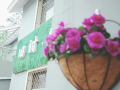 jiushizhisu-guesthouse