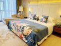 room overview picture