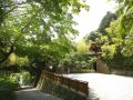 yamanochaya-hakone