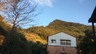 dang-guei-homestay