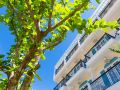 lantana-boutique-hoi-an-hotel