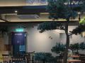 melaka-homestay