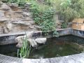 jingyuan-courtyard-hotel
