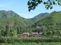 no68-village-house