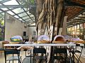 guangzhou-tunan-live-art-hotel