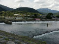 tsubaki-ann-kyoto