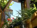 jingyuan-courtyard-hotel