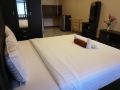 the-passion-nest-sha-plus-plus-