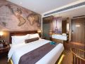room overview picture