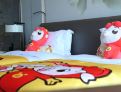 room overview picture