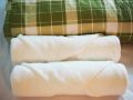 green-sleep-hostel